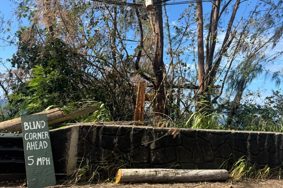 Snapped utility pole and downed lines tangled in trees along a Kauaʻi road after Hurricane Lowell